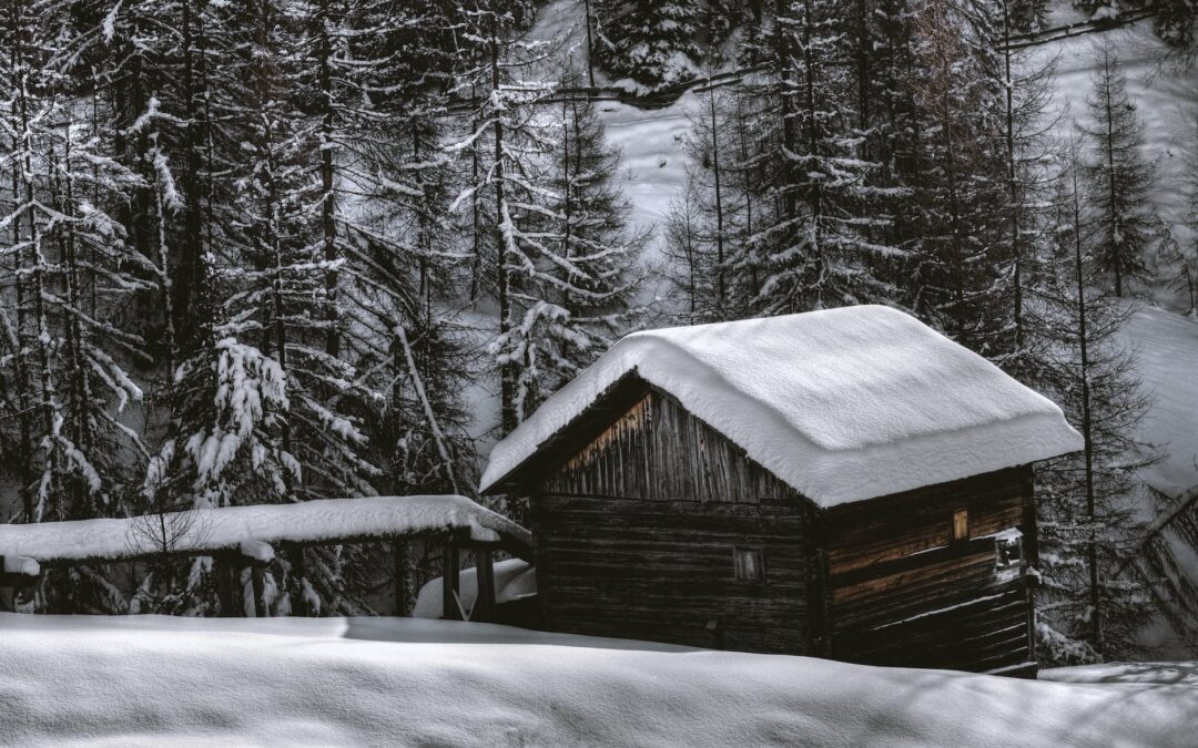 brown wooden barn during snow